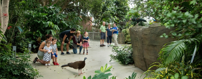 Visitors with birds at the National Aviary